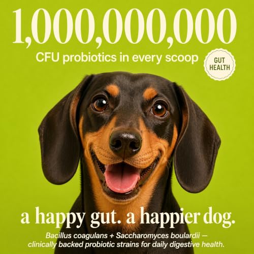 Image of Daily Dog Supplement | Probiotics for Dogs | Supports Gut Health, Joint Health, Skin and Coat | Multivitamin | 12-in-1 Vet-Formulated | Glucosamine + Chondroitin | Omega-3 | 300g