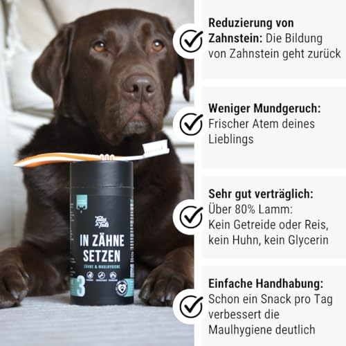 Tales & Tails In Zähne setzen Zahnpflege-Snack für Hunde, Allergiker geeignet, Getreidefrei - 1 Dose 325g