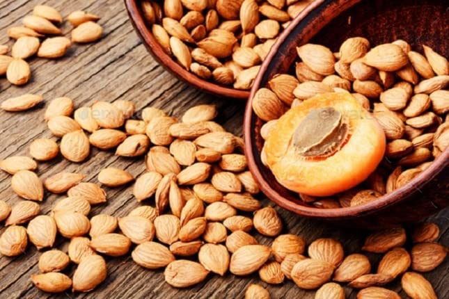 Organic Bitter Raw Apricot Seeds - Raw, Bitter, Vegan, Gluten-free, GMO-free 8 oz - Image 3