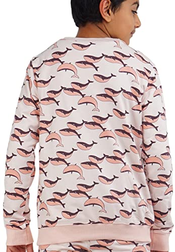 Image of Real Basics Boys Cotton Round Neck Sweatshirt /Hoodie