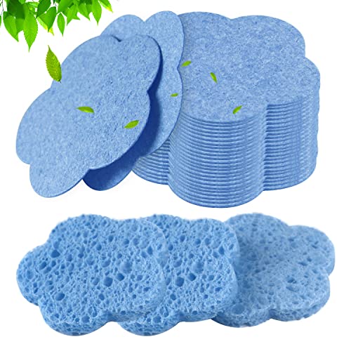 Éponges exfoliantes naturelles visage : lot de 50 fleurs réutilisables