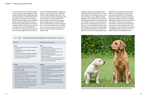 Welpentraining mit Martin Rütter: Erfolgreich durch die ersten Monate - Der SPIEGEL-Bestseller #1