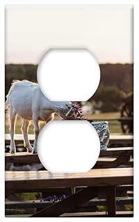 Switch Plate Outlet Cover - Animals Nature Agriculture Baby Bench Bouquet