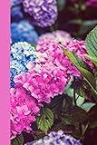 Photo Gallery hydrangea flower notebook: a great journal & daily diary, with a high quality cover design, 120 lined pages, 6*9 dimensions. Photo Gallery hydrangea flower notebook: a great journal & daily diary, with a high quality cover design, 120 lined pages, 6*9 dimensions.