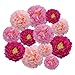 YFFSFDC 花紙 12枚セット 桜 卒業式 ピンク系3色 飾り付け ペーパーフラワー ペーパーポンポン フラワーポンポン お花紙 誕生日 バースデー 100祝い 結婚式 記念日 母の日 春 お祭り 飾り 装飾 デコレーション 女の子