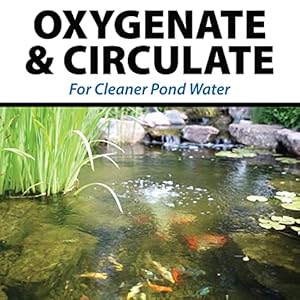 Crystalclearpondair4completeaerationkitwhisperquietwatergardenoxygenationbubblersystemaddsoxygentokoifishpondsoutdooraeratorcompressorpumptubing4airsubmersiblestone Urban Country Home Decor Crystalclear pondair 4 complete aeration kit whisper quiet water garden oxygenation bubbler system adds oxygen to koi fish ponds outdoor aerator compressor pump tubing 4 air submersible stone urban country home decor