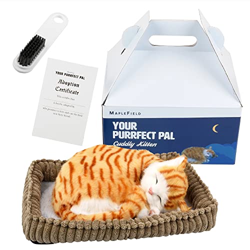 Maplefield Cat Stuffed Animal Doll - Realistic Breathing Cat Toy - Soft Synthetic Fur & Purring Stuffed Toy - Soothing Life-Like Kitten Plush - Tabby Kitten Pack of 1