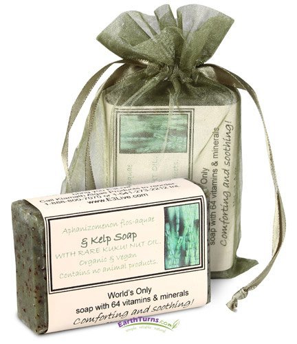 E3Live - E3 Soap - Kelp Soap - 4 oz