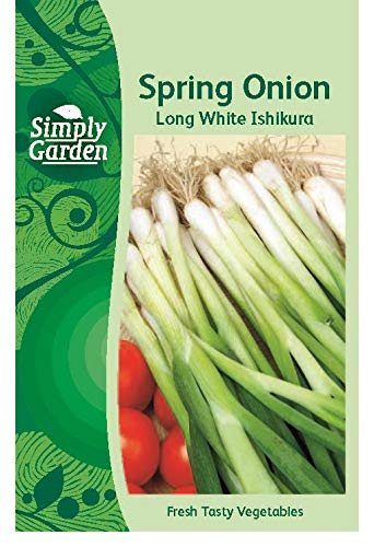 Spring Onion Seeds Long White Ishikura Bunching Salad Onion Vegetable Seeds for Garden & Containers Easy-to-Grow Grow Your Own