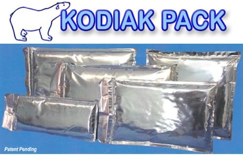 Insulated Mailer Metalized Envelopes for Cold Shipping, 9" x 12" - 5/Case