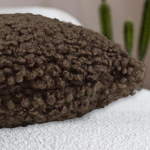 DRADERCH 2er Set Curly Teddy Wolle Faux Pelz Werfen Kissenbezug Abdeckungen, Sofakissen, Couchkissen, Dekokissen, Zierkissenbezug, Deko Kissenhülle, Wohnzimmer, 40x40cm, Schokoladenbraun