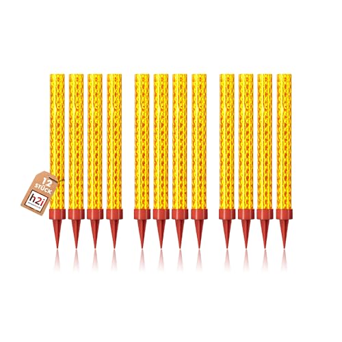 12 Stück je 12 cm h2i Eissterne Eisfontäne Sprühkerze für Verlobung-Hochzeit-Geburtstag Jugend-Party-Tisch-Feuerwerk Deko für Kuchen Torten Flaschen + unser h2i & eissterne Feuerzeug