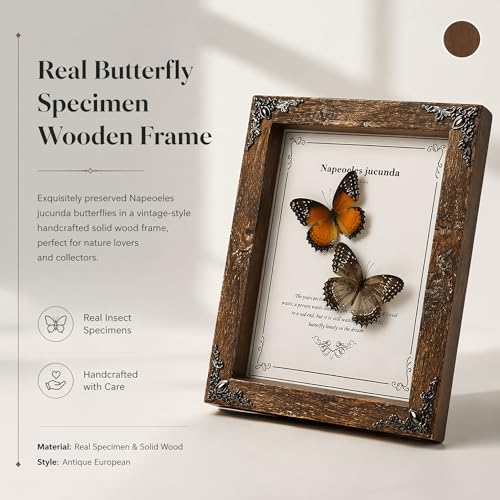 Wugakio Real Butterfly Framed - Hanging wood grain photo frame, Taxidermy Animals for Oddities and Curiosities Gifts (cethosia biblis+White saw butterfly - Wood Grain Photo Frame) — view 3