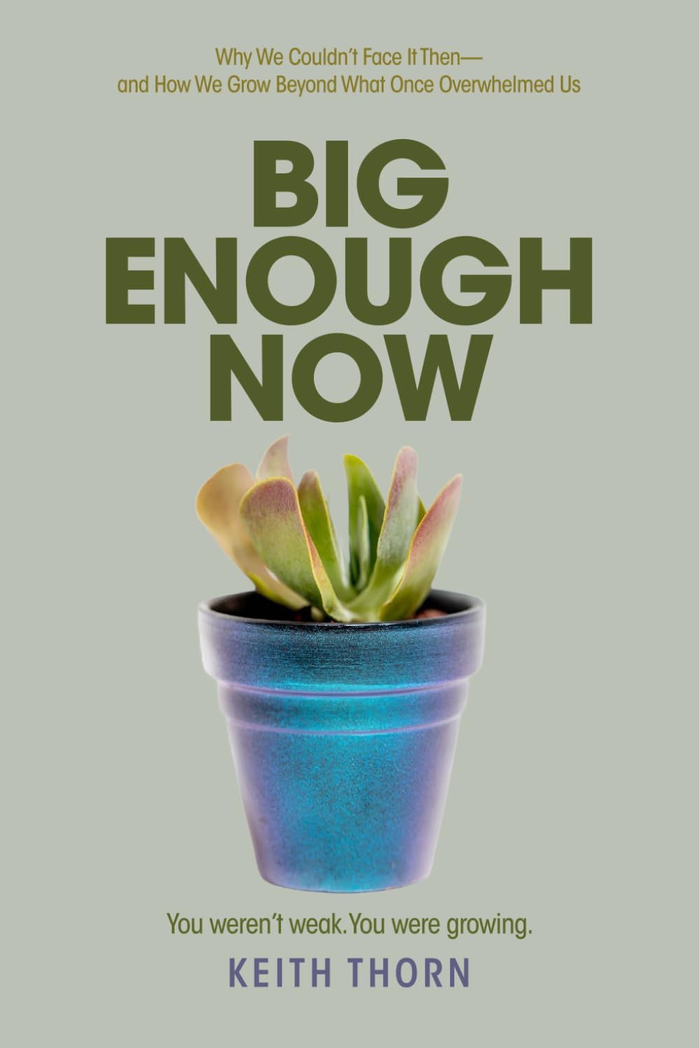 BIG ENOUGH NOW: Why We Couldn’t Face It Then—and How We Grow Beyond What Once Overwhelmed Us: 5 (The Way Forward Series: Practical Wisdom for Life's Hardest Questions)