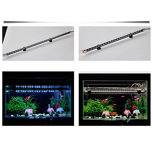 Lampe d'aquarium d'économie d'énergie MU multicolore 77cm étanche pour sublimer le verre
