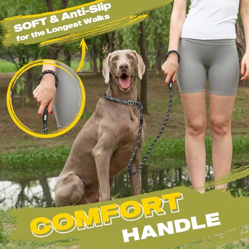 Fida Durable Slip Lead Dog Leash, 6 FT x 3/8" Heavy Duty Dog Loop Leashes, Comfortable Strong Rope Slip Leash for Small Dogs and Puppies, No Pull Pet Training Lead with Highly Reflective(3/8", Black)
