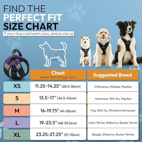 Image of Gooby Soft Mesh X Step in, Purple, X-Small
