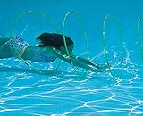 Set of 4 Floating Pool Rings