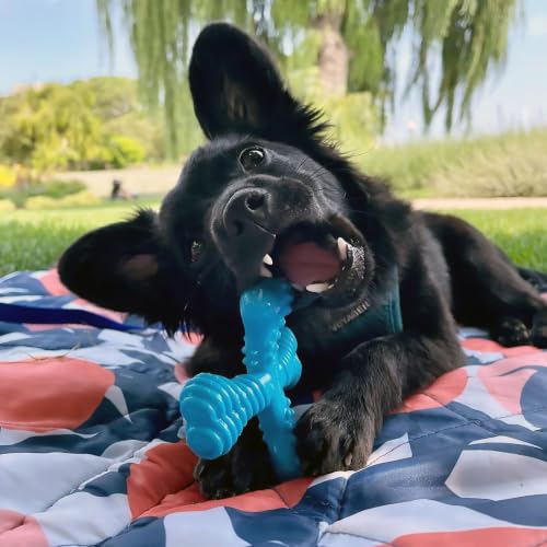 Image of Nylabone Power Chew Comfort Hold X Bone Dog Chew Toy, Beef Flavor, Small | Small breeds, durable dog toys for dogs up to 25 lbs, teeth-cleaning textures, discourages destructive chewing, long lasting