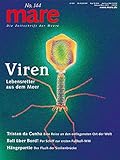 mare - Die Zeitschrift der Meere / No. 144 / Viren: Lebensretter aus dem Meer