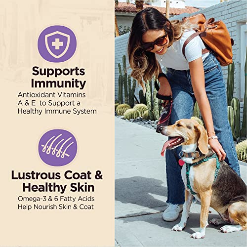 Wellness Core Digestive Health Dry Senior Food With Wholesome Grains, Advanced Age For Dogs Over 7-Years Old, For Dogs With Sensitive Stomachs, Made In Usa With Real Chicken (Senior, 4 Pound Bag) #TOP4