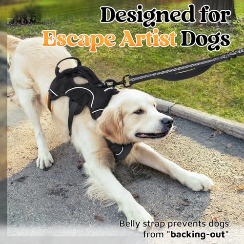 Rabbitgoo DTLGBD01LBK18CW Escape Proof Dog Harness, Soft Padded Full Body Pet Harness, Reflective Adjustable No Pull Vest thumb #1