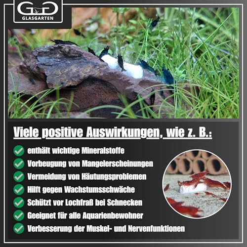 GlasGarten Mineral Junkie Bites | 50g – Premium Mineralfutter für Garnelen & Schnecken, Ergänzungsfutter/Aufzuchtfutter mit Mineralstoffen, Soft Bites