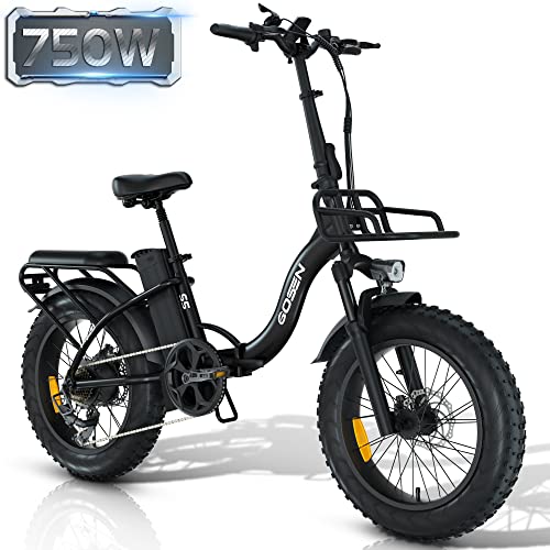 gielang bicycle review