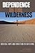 Dependence in the Wilderness (NASB)