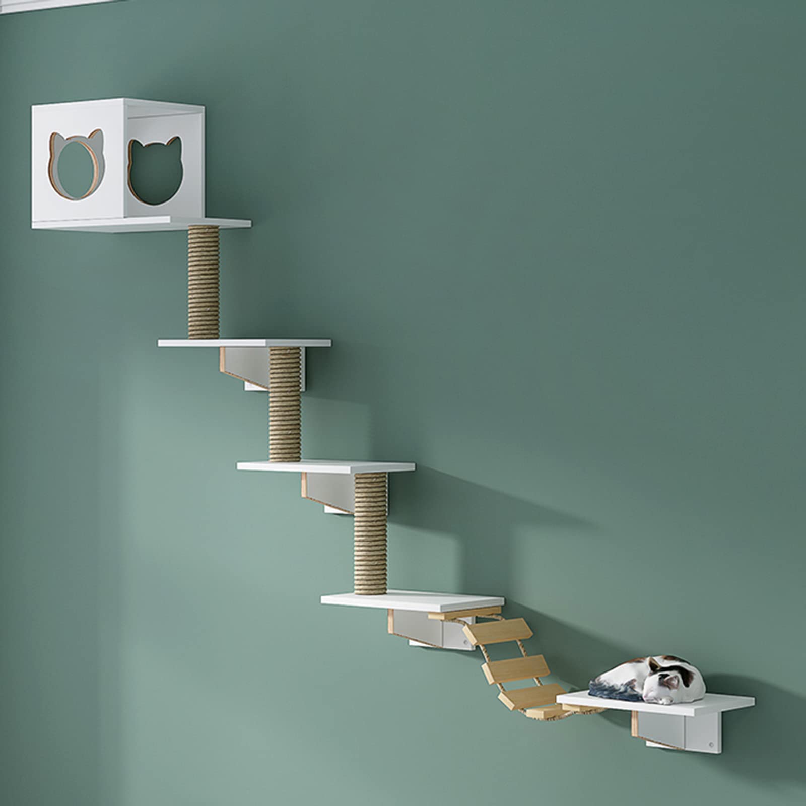 Arbre à chat mural et étagère de parcours de jeu pour chat d'intérieur en bois