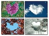 Love Found All Around Simon's Fund Greeting Cards (Found Heart Photographs)