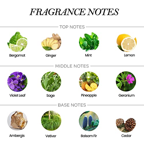 Arlyn White & Black Men's Eau De Parfum (Edp) Cologne - Long-Lasting Fragrance - 1.7Oz - Notes Of Bergamot, Ginger, Mint, Lemon - Alcohol Free, Vegan, Cruelty Free #TOP1