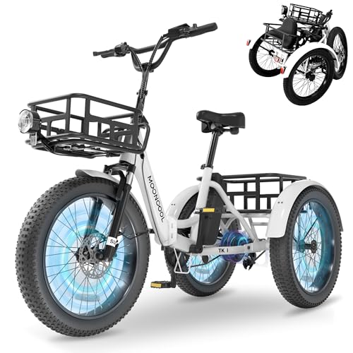 MOONCOOL Foldable Electric Tricycle for Adults, 20' Aluminum E-Trike 48V 15Ah 500W Motor,...