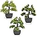 Produktbild INtrenDU 3X Künstlicher Bonsai Baum im Set 30cm Kunstpflanzen im Topf Kunstblumen Fensterdeko künstliche Pflanze