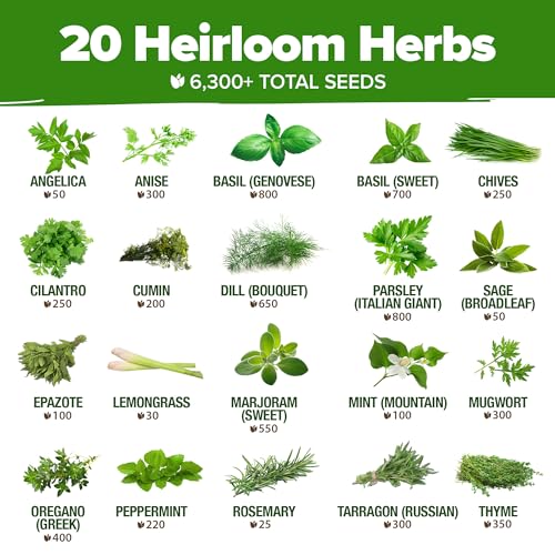 Image of HOME GROWN Premium Herb Seeds Variety Pack - 20 Heirloom Herb Seeds for Planting - 6,000+ Non-GMO Seeds with Plant Markers - Indoor Outdoor Hydroponic Herb Garden - Culinary & Medicinal Herbs