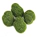 Produktbild 12 Stücke Moos Bälle Terrarium Dekorative, künstliche Grüne Moos Steine Simulation Gras Bonsai DIY Landschaft Dekoration