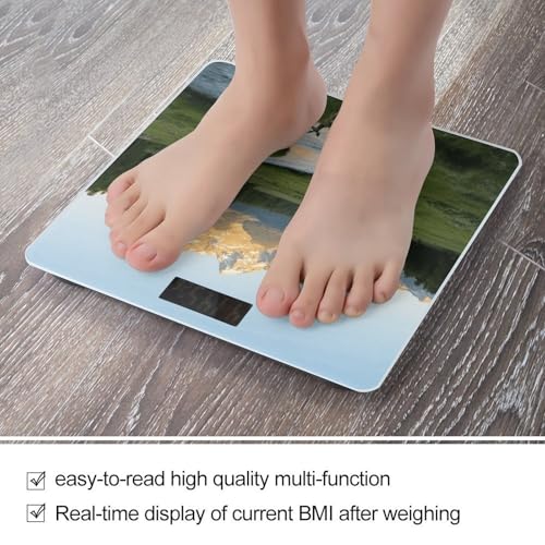 Báscula Digital de Baño con Pantalla LCD y Vidrio Templado miniatura 5