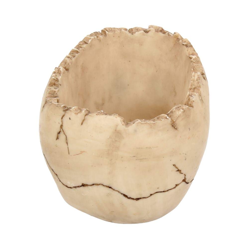 Nemesis Now popielniczka Lobo 13,5 cm w kolorze kości słoniowej