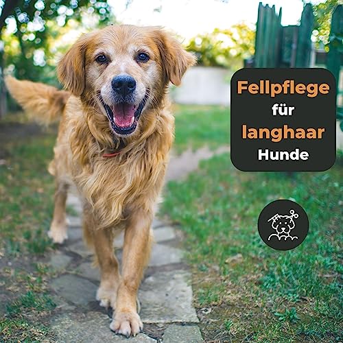 Grünschloss Hundekamm Unterwolle & Holz Katzenkamm Langhaar (3cm lange Zinken) - Entfilzungskamm für Hunde Unterwolle Rechenkamm (Made in Germany) - Knoten & Verfilzungen effektiv entfernen
