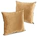ITD HOME - 2 Fundas Cojines de Terciopelo para Sofás, Fundas Cojines 45 x 45cm Talla Unica, Funda de Almohada para Camas, Coches, Salones, Sillones (Amarillo)