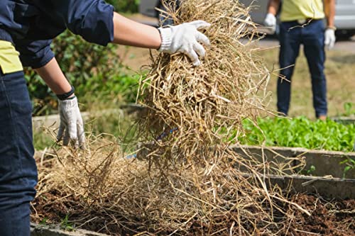 Premium Garden Straw (4 Lbs) - Straw Mulch That Is Designed For Use In Compost Beds, Gardens, Pet Bedding, Lawns And Much More. By Home And Country Usa #TOP4