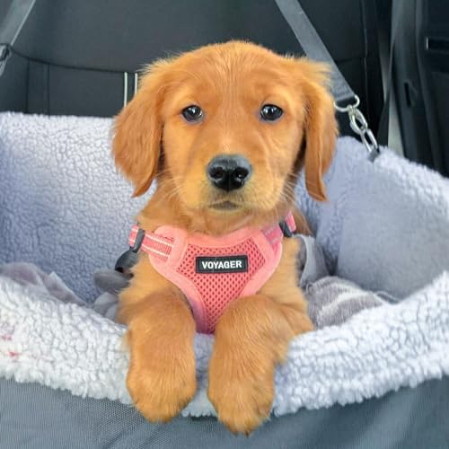 Image of Best Pet Supplies Voyager Adjustable Step-in Flex Breathable Mesh Dog Harness for Small Medium Large Dogs Leash Set (Pink), XL