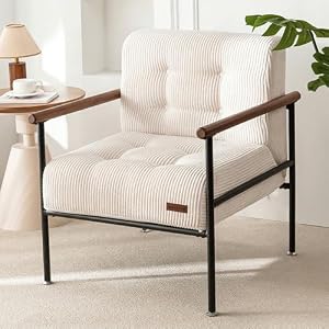 MAXYOYO Accent Chair, Modern Living Room Chair with Metal Frame