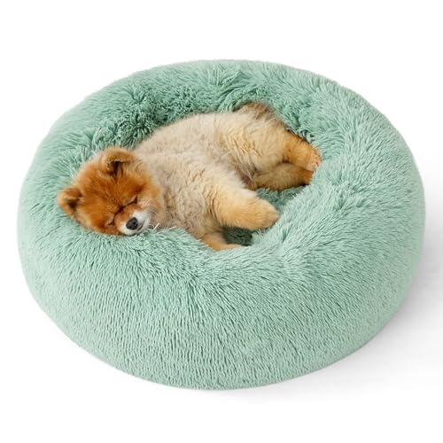 Image of Bedsure Calming Dog Bed for Small Dogs - Donut Washable Small Pet Bed, 23 inches Anti-Slip Round Fluffy Plush Faux Fur Large Cat Bed, Fits up to 25 lbs Pets, Apple Green