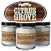 Scented Candles - Citrus Grove - Set of 3: Key Lime, Lemongrass, and Orange Zest - 3 x 4-Ounce Soy Candles - Each Votive Candle is Handmade in the USA with only the Best Fragrance Oils