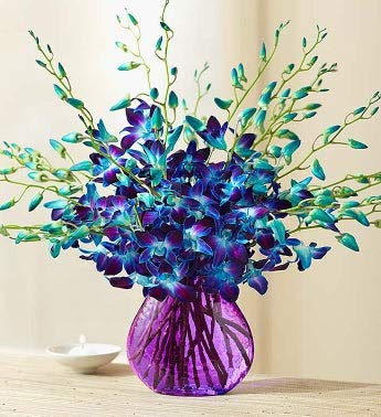 1800flowers Blue Ocean Breeze Orchids With Purple Vase 20 Stems Amazon In Grocery Gourmet Foods