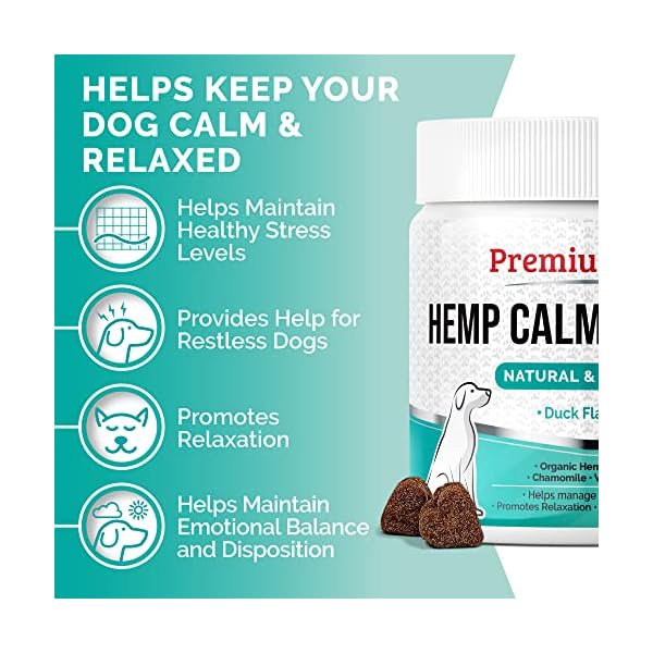 PREMIUM-CARE-Hemp-Calming-Chews-for-Dogs-Made-in-USA-Helps-with-Dog-Anxiety-Separation-Barking-Stress-Relief-93-oz-264g-120-count PREMIUM-CARE-Hemp-Calming-Chews-for-Dogs-Made-in-USA-Helps-with-Dog-Anxiety-Separation-Barking-Stress-Relief-93-oz-264g-120-count