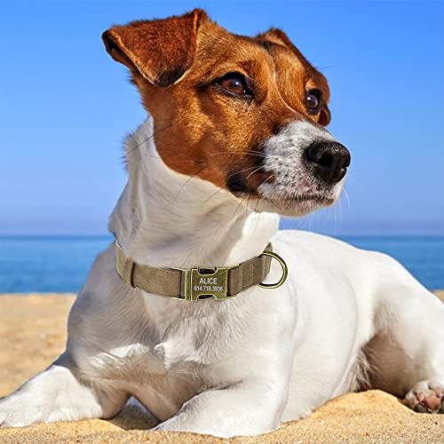 Pet Artist Leather Dog Collar With Metal Buckle,Heavy Duty Dog Collar Adjustable For Small Medium Large Dogs Cats Pets S, Brown #TOP3