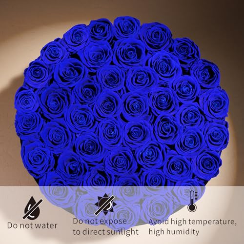 47 Flowers in a Luxury Suede Box, Birthday Gifts for Women, Preserved Flowers, Mothers Day Roses Gift for Mom,Blue