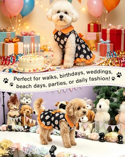Image of CuteBone Retro Black Daisy Pet Dress with Peter Pan Collar - Bold Floral Pattern - Sleeveless Ruffled Skirt with Bow for Small Dogs, Cats - Stylish Daily & Party Wear